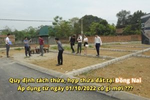 Quy định tách thửa, hợp thửa đất trên địa bàn tỉnh Đồng Nai từ 01/10/2022