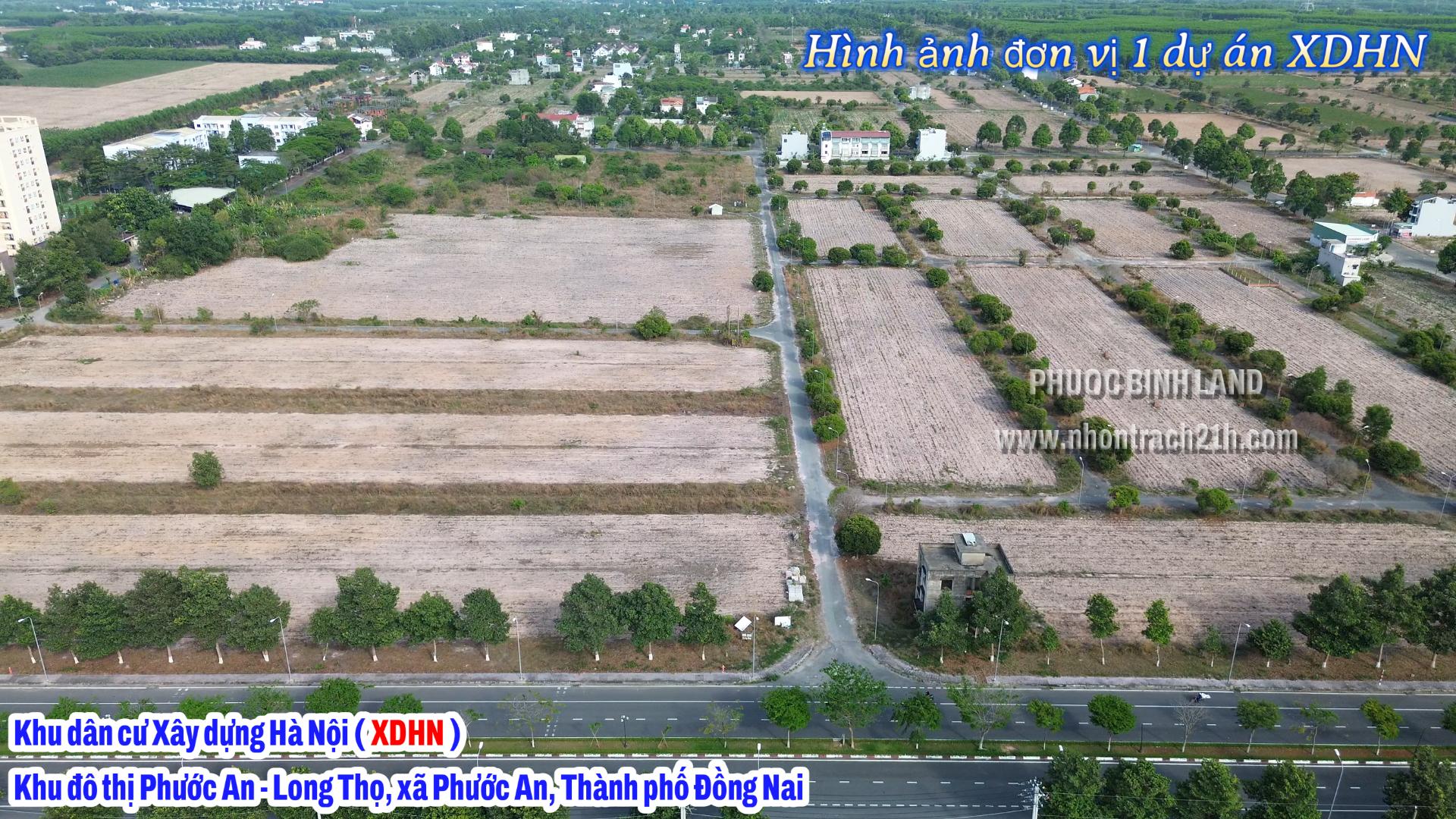n vị 1 XDHN