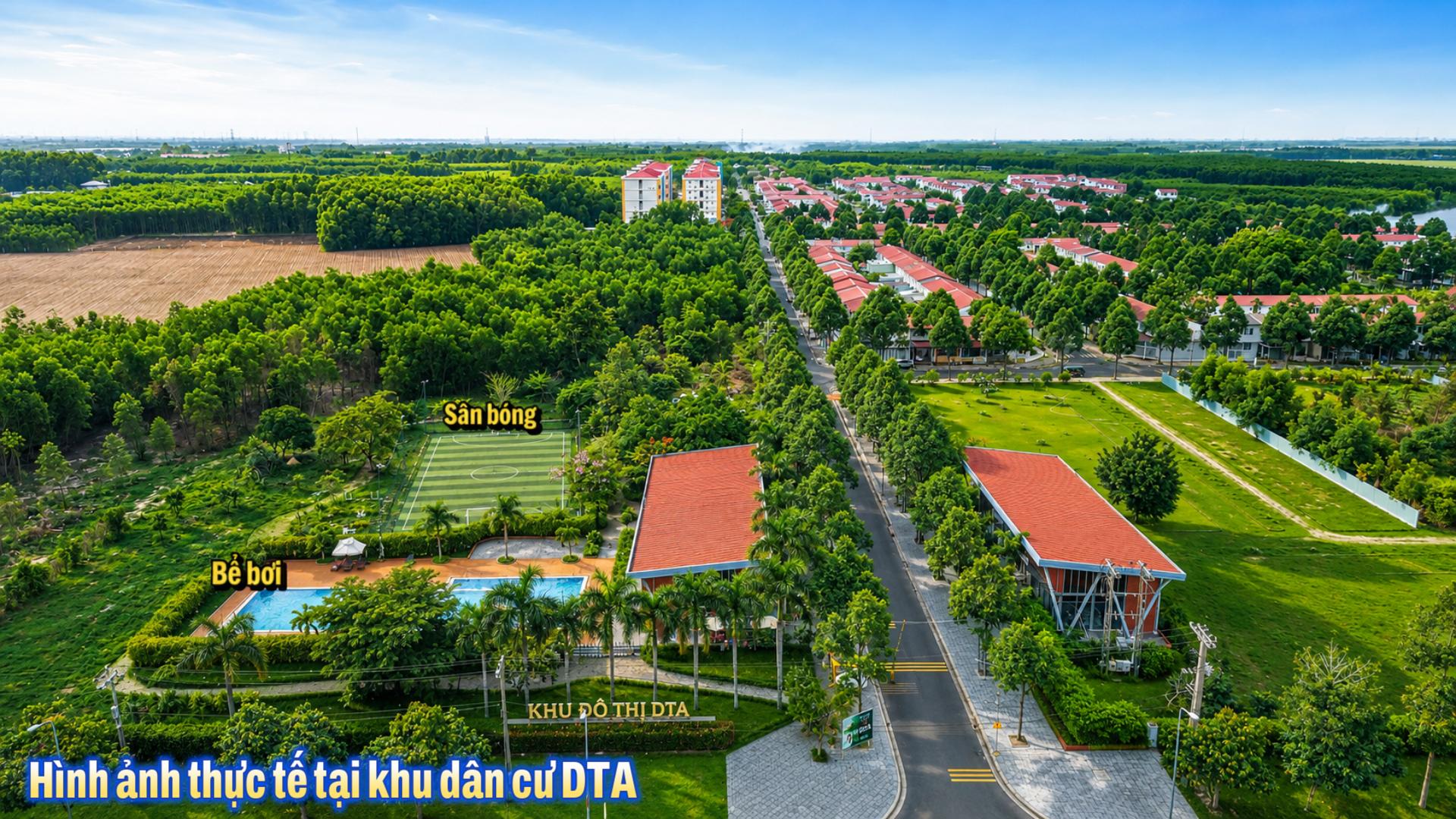 DTA 07