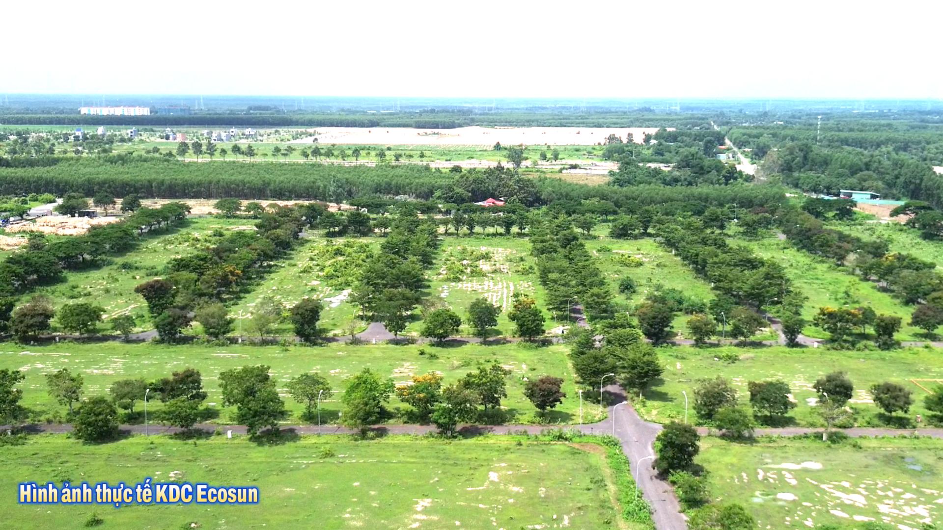Hình ảnh thực tế 