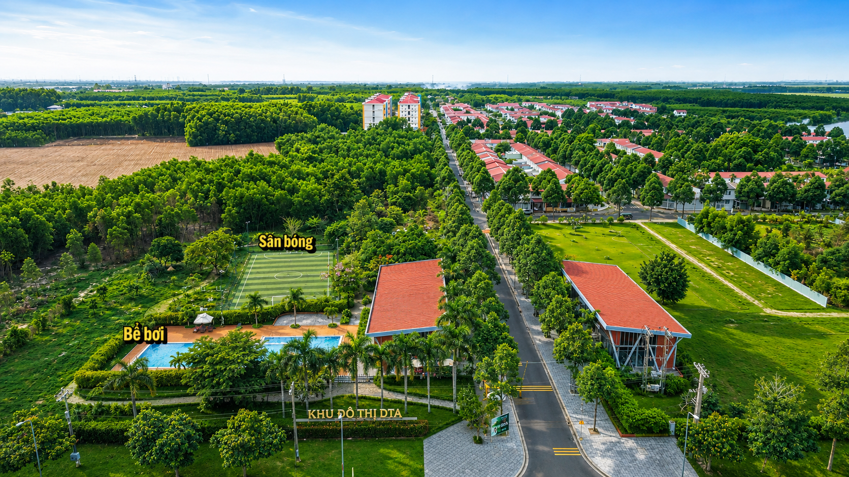 Hình ảnh DTA 01