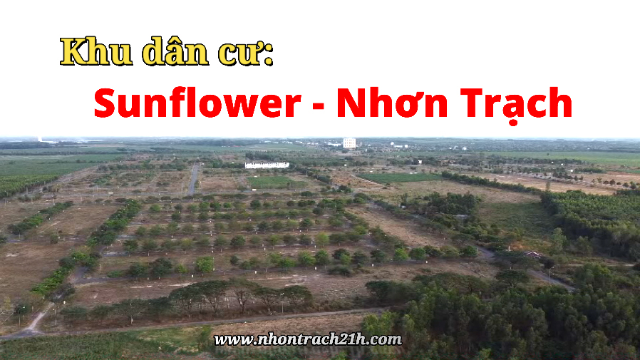 Khu-dan-cw-Sunflower-nhon-trach