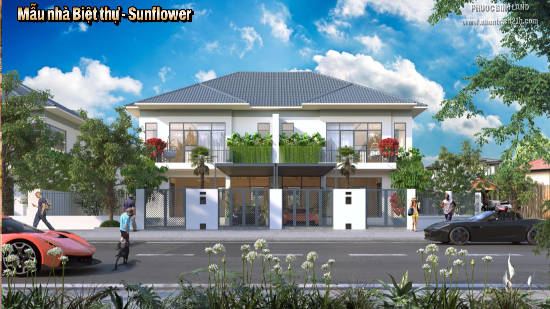 Mẫu nhà BTT Sunflower Mẫu nhà BTT Sunflower