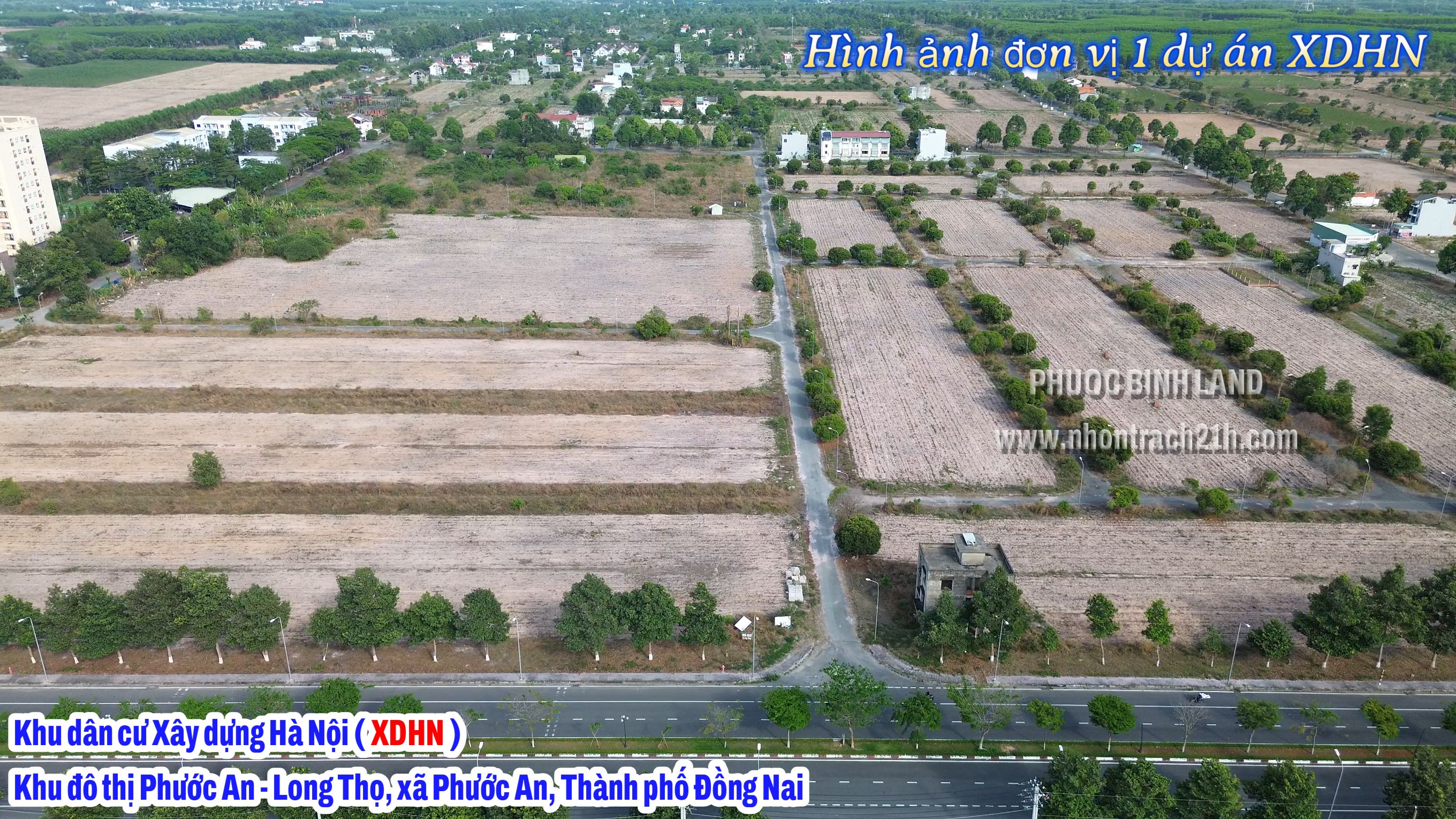 n vị 1 XDHN n vị 1 XDHN